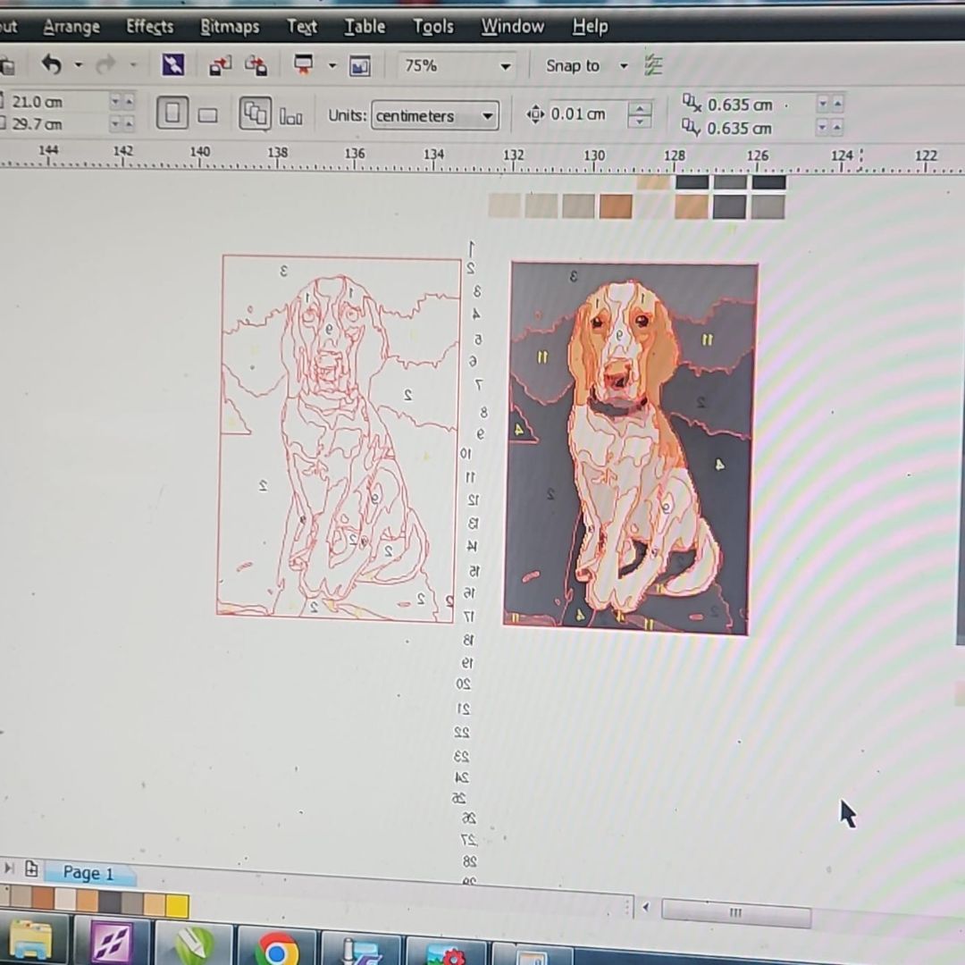 Designing the pet rug